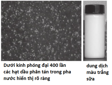 Chụp quang tuyến và ngoại quan của dầu cắt gọt kim loại macro Chụp quang tuyến và ngoại quan của dầu cắt gọt kim loại macro